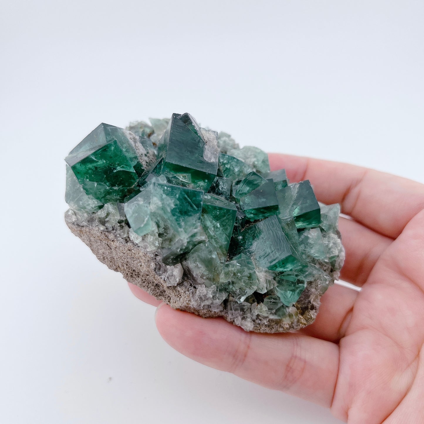 Diana Maria Fluorite (42000)【FO019A~B】