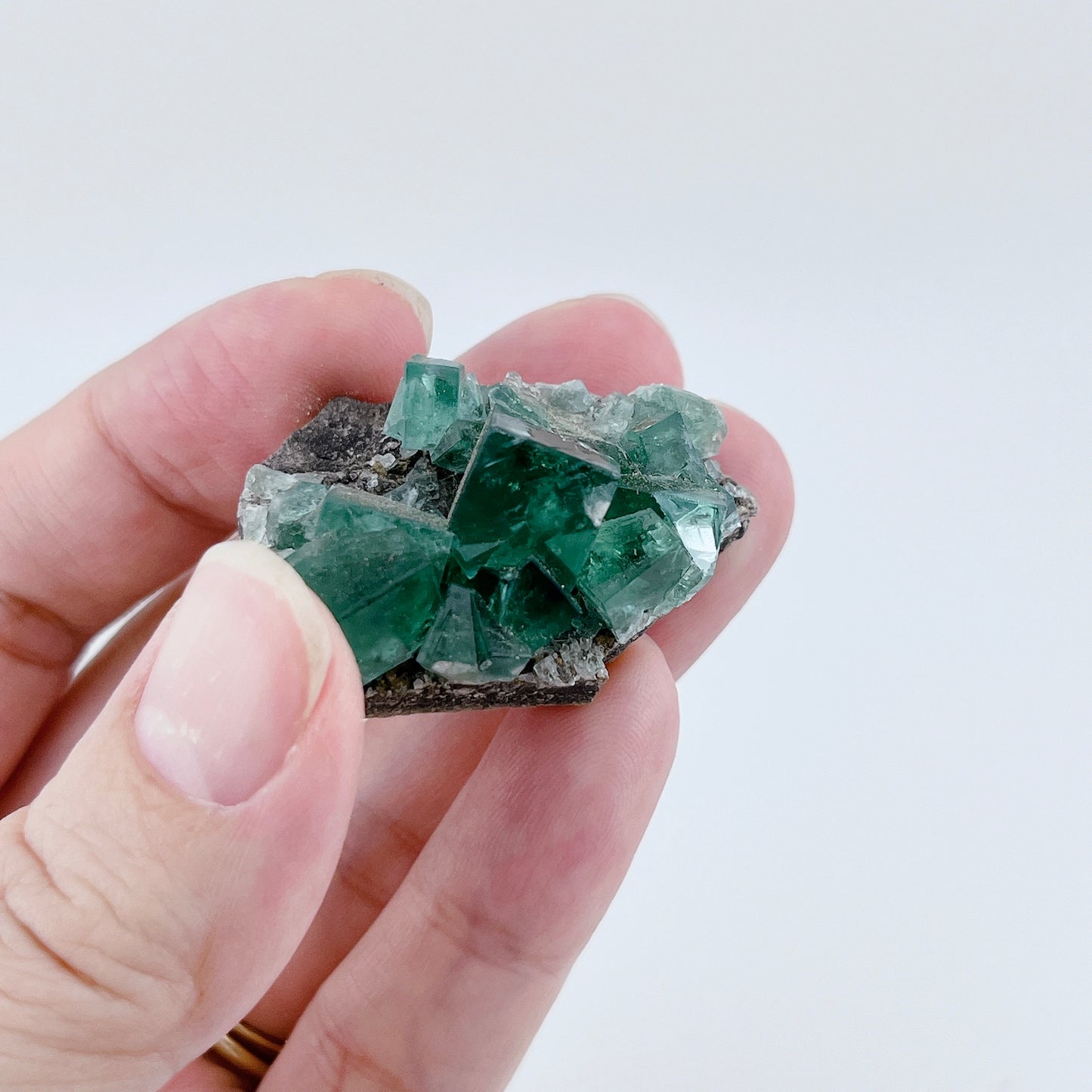 Diana Maria Fluorite (11500)【FO024A~F】