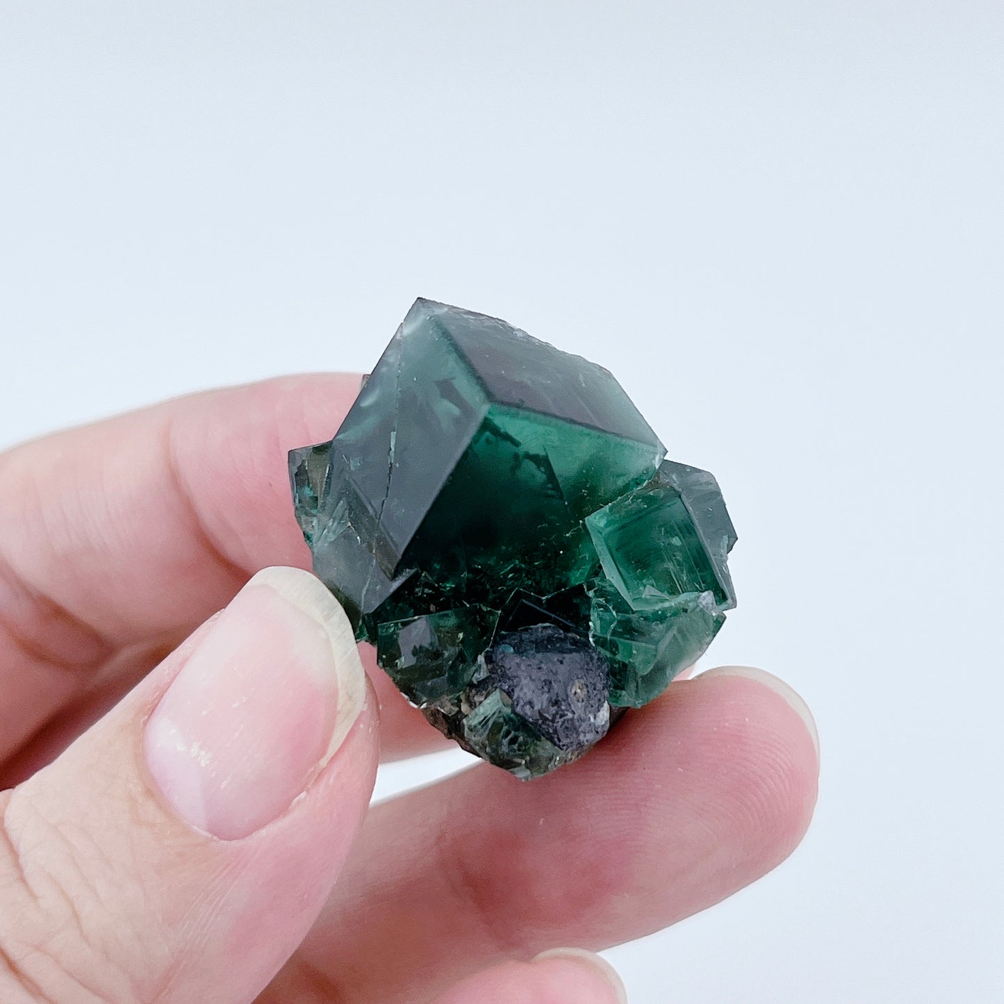 Diana Maria Fluorite (13000)【FO022A~D】