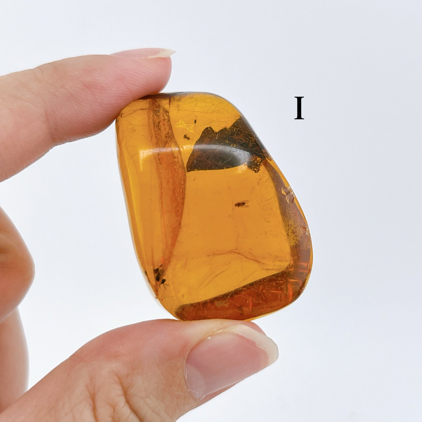 Blue amber with insects 【AB001A~J】