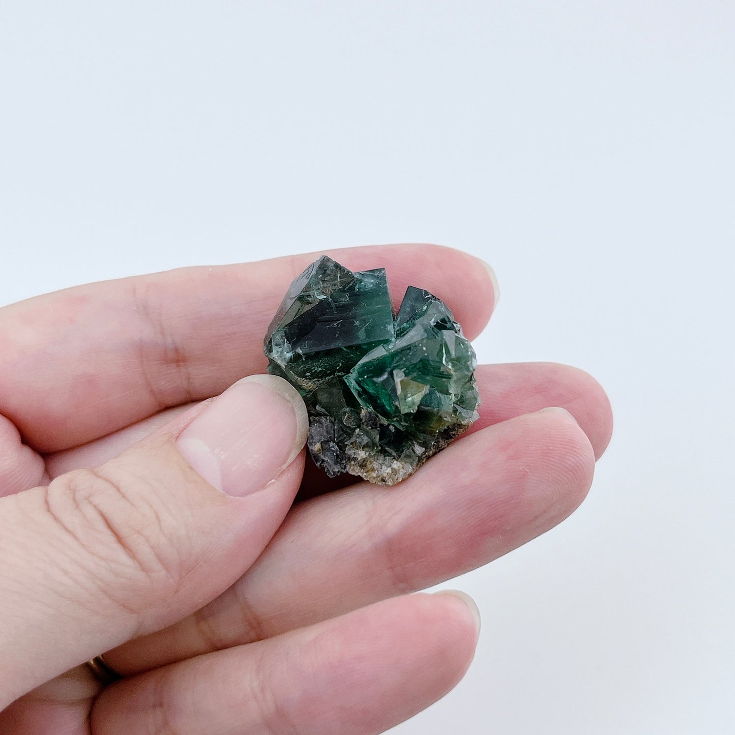 Diana Maria Fluorite (11500)【FO023A~F】