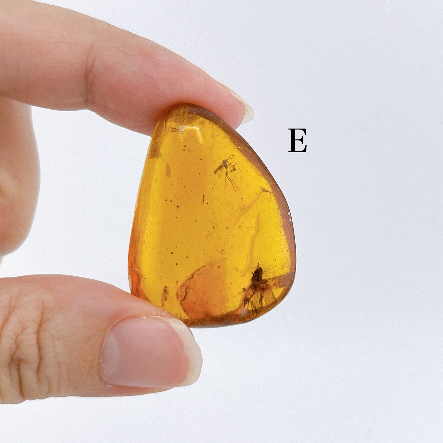 Blue amber with insects 【AB001A~J】