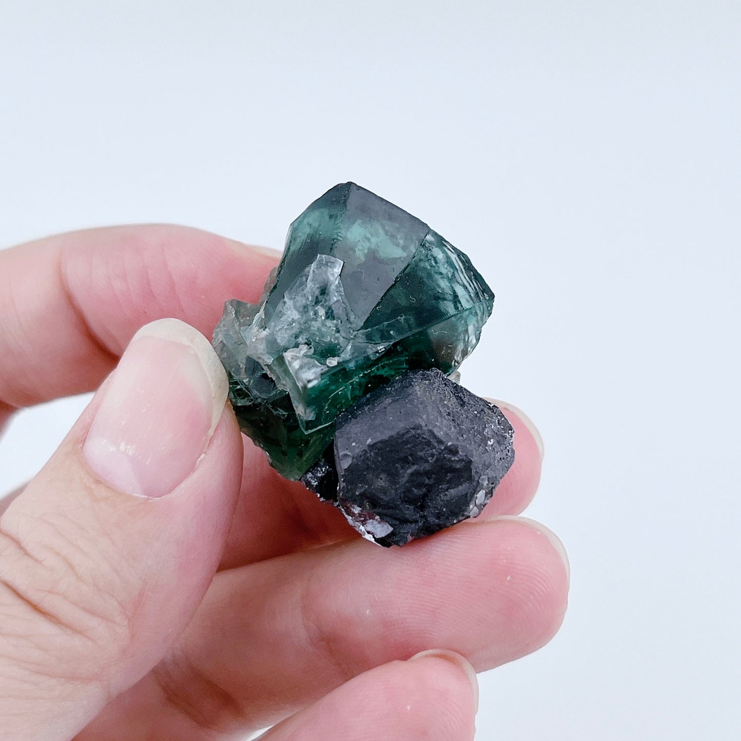 Diana Maria Fluorite (13000)【FO022A~D】