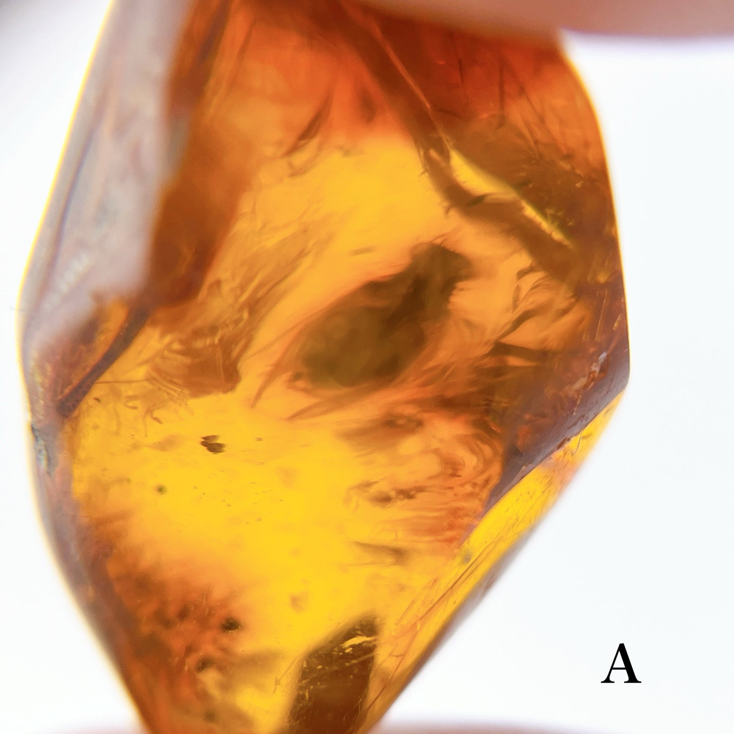 Blue amber with insects 【AB001A~J】