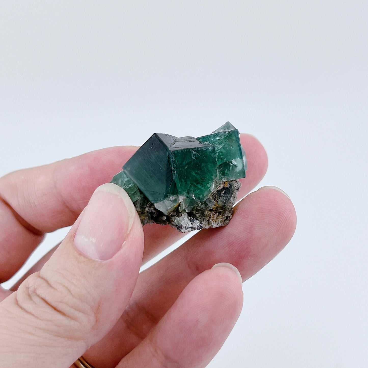 Diana Maria Fluorite (11500)【FO024A~F】