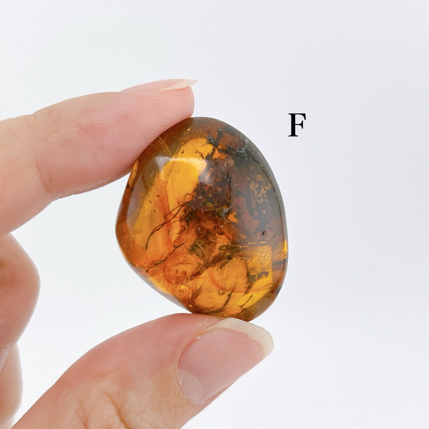 Blue amber with insects 【AB001A~J】