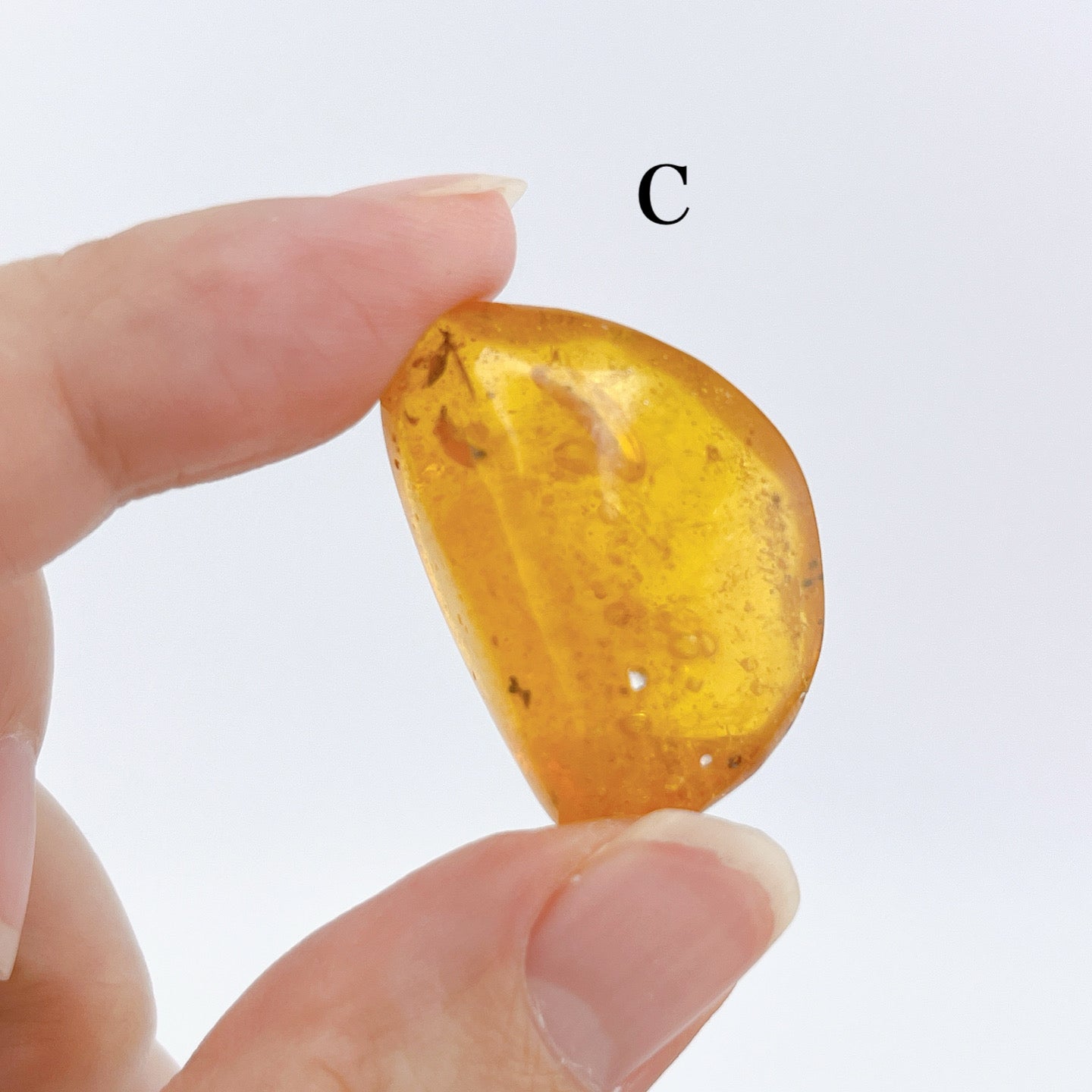 Blue amber with insects 【AB001A~J】