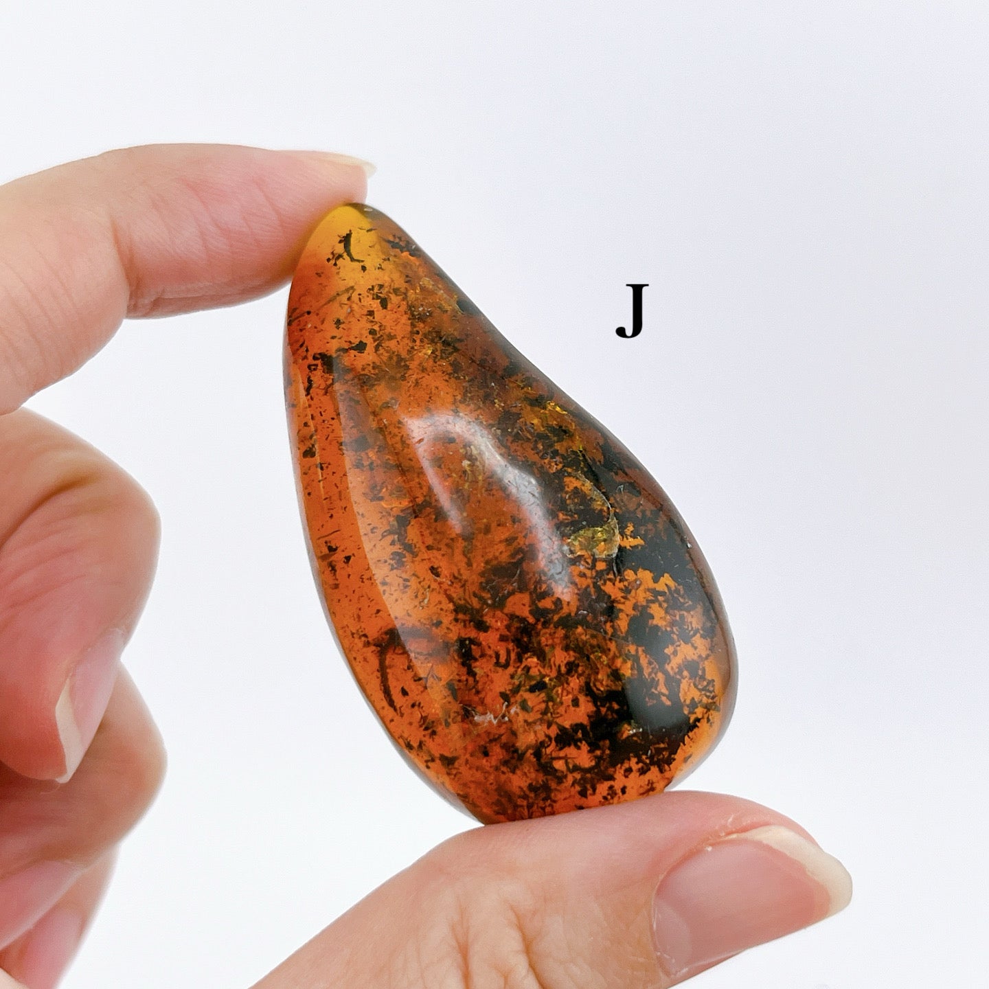 Blue amber with insects 【AB001A~J】