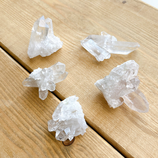 Tomaz Gonzaga Quartz M set【QT004M】