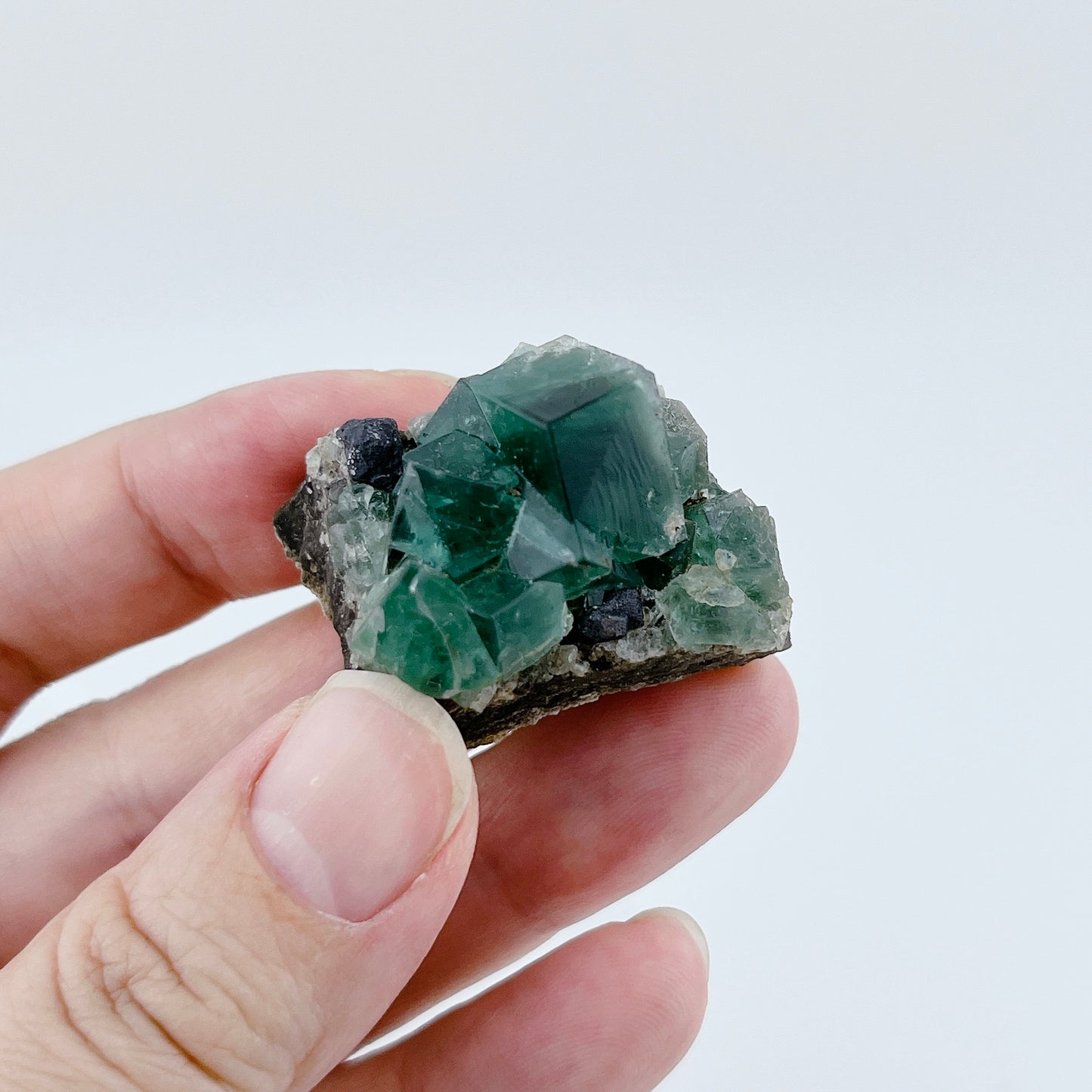Diana Maria Fluorite (11500)【FO024A~F】