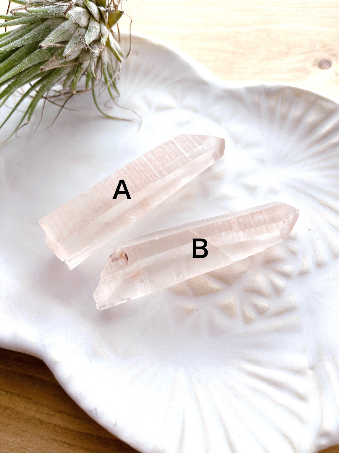Pink lemurian seed crystal (8000)【LE001A~B】