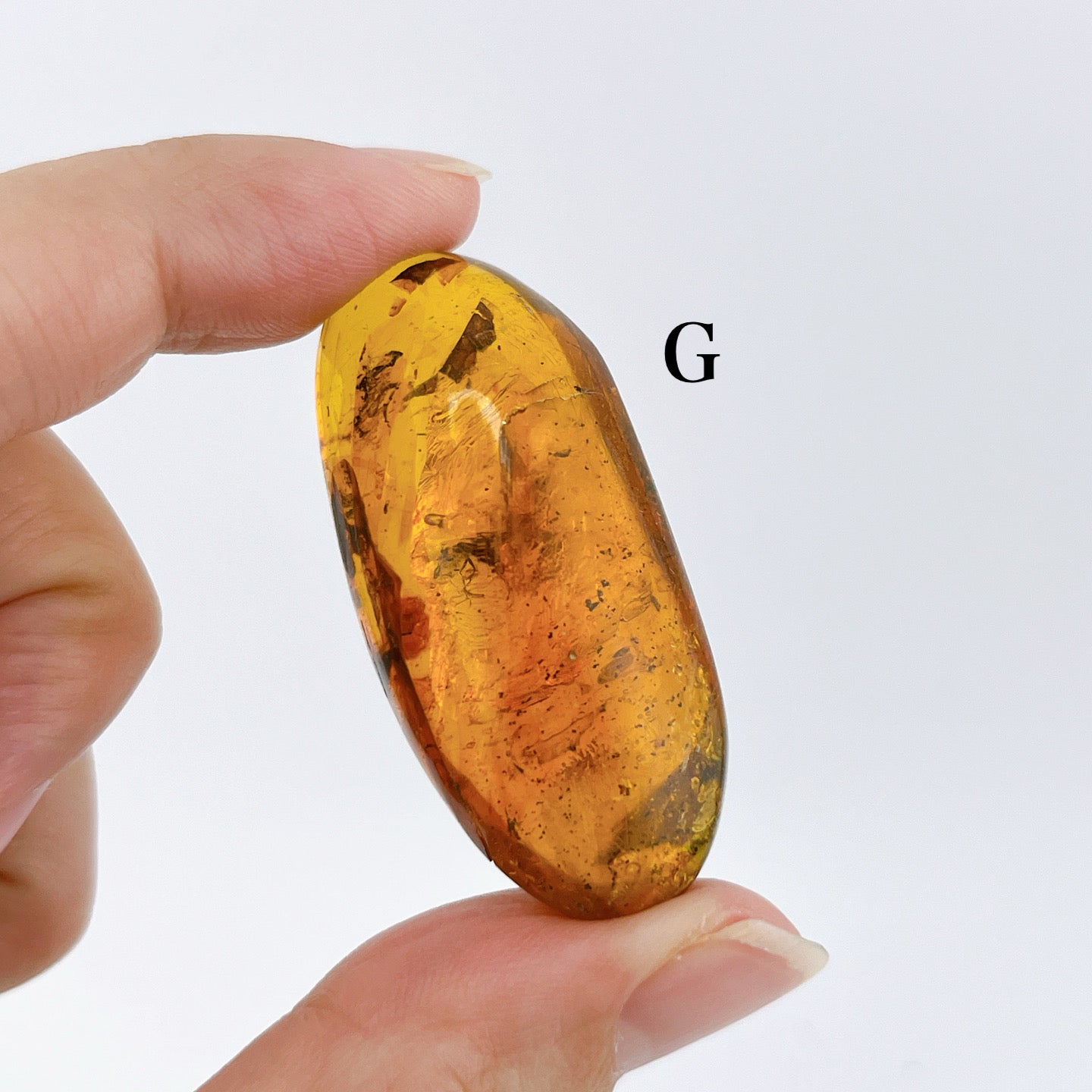 Blue amber with insects 【AB001A~J】