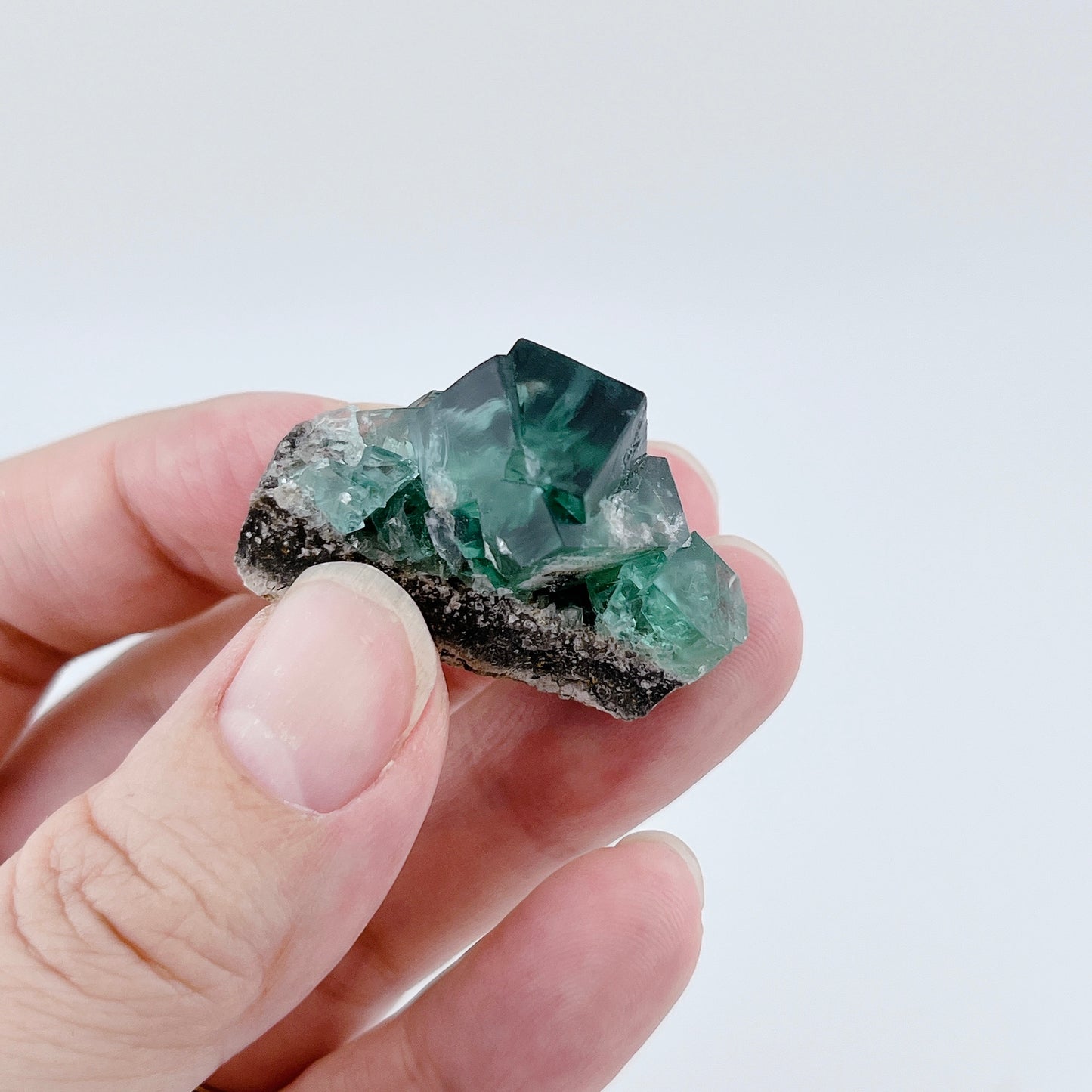 Diana Maria Fluorite (11500)【FO024A~F】