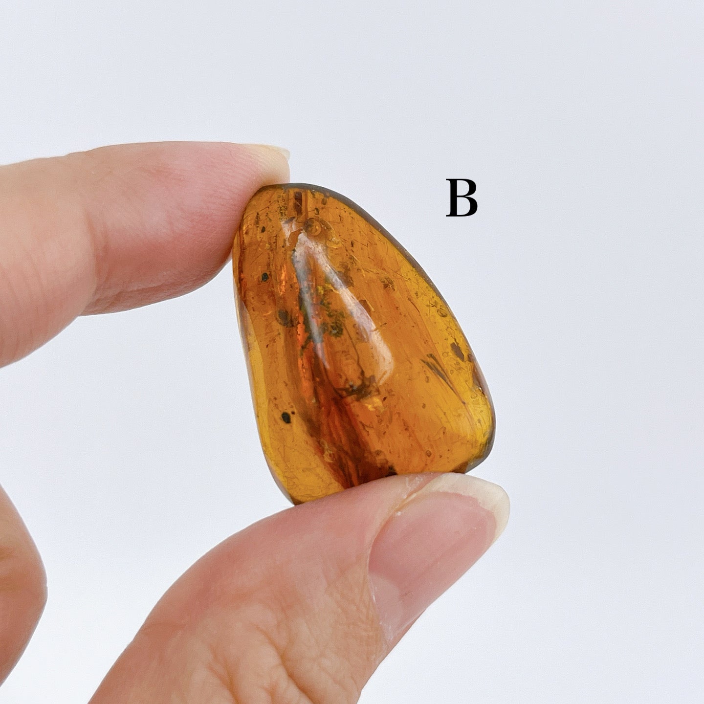 Blue amber with insects 【AB001A~J】