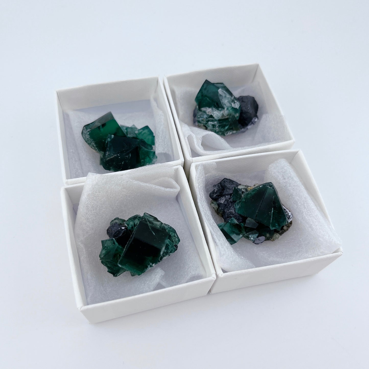 Diana Maria Fluorite (13000)【FO022A~D】