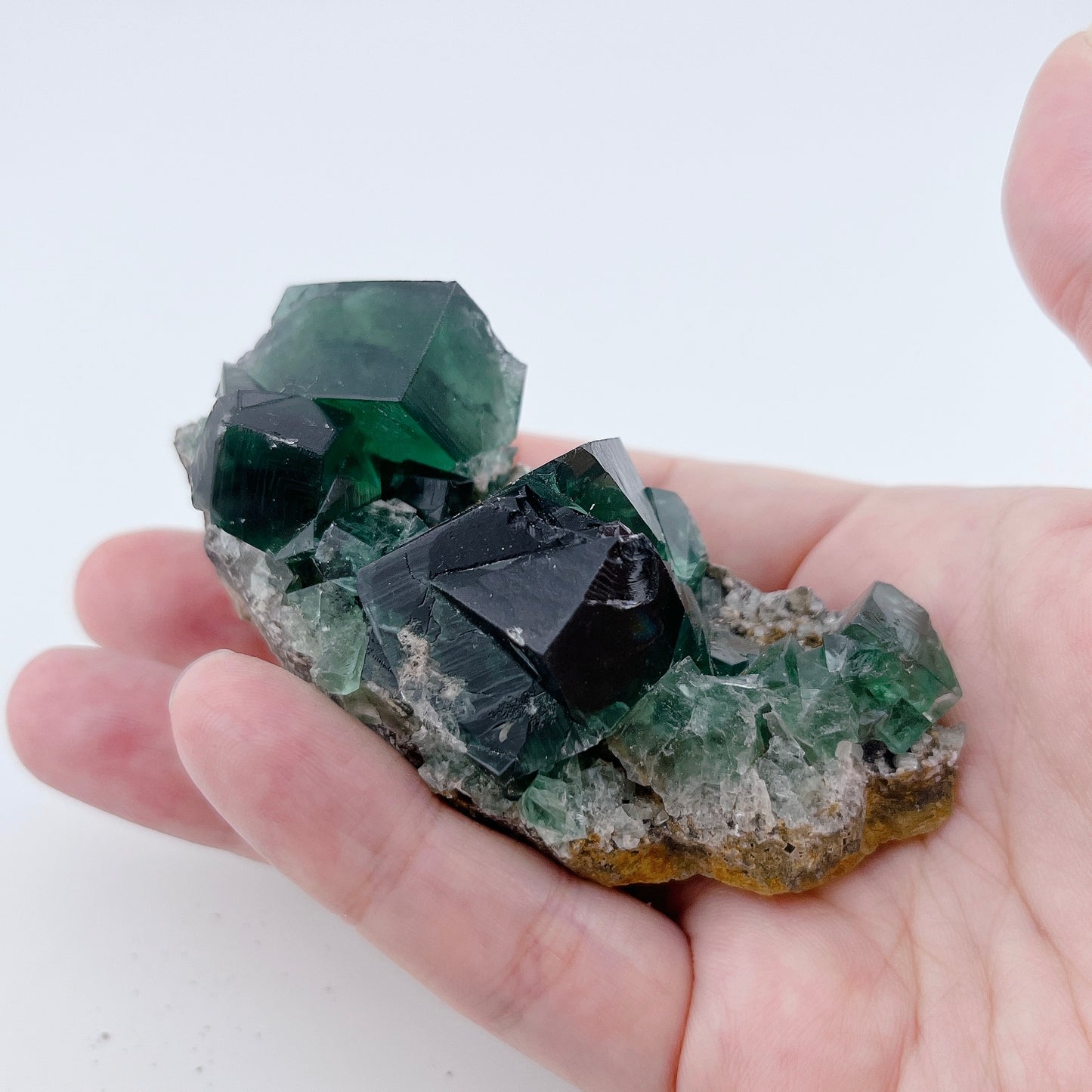 Diana Maria Fluorite (42000)【FO019A~B】