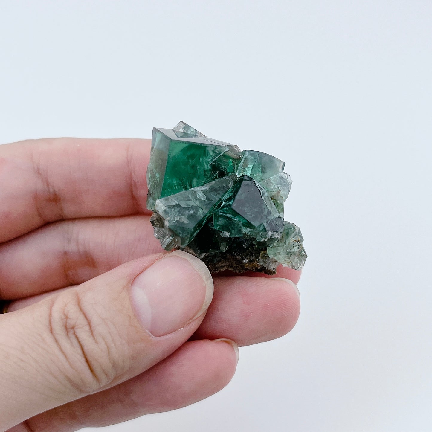 Diana Maria Fluorite (11500)【FO023A~F】