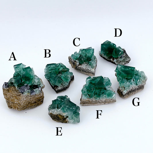 Diana Maria Fluorite (8500)【FO025A~G】