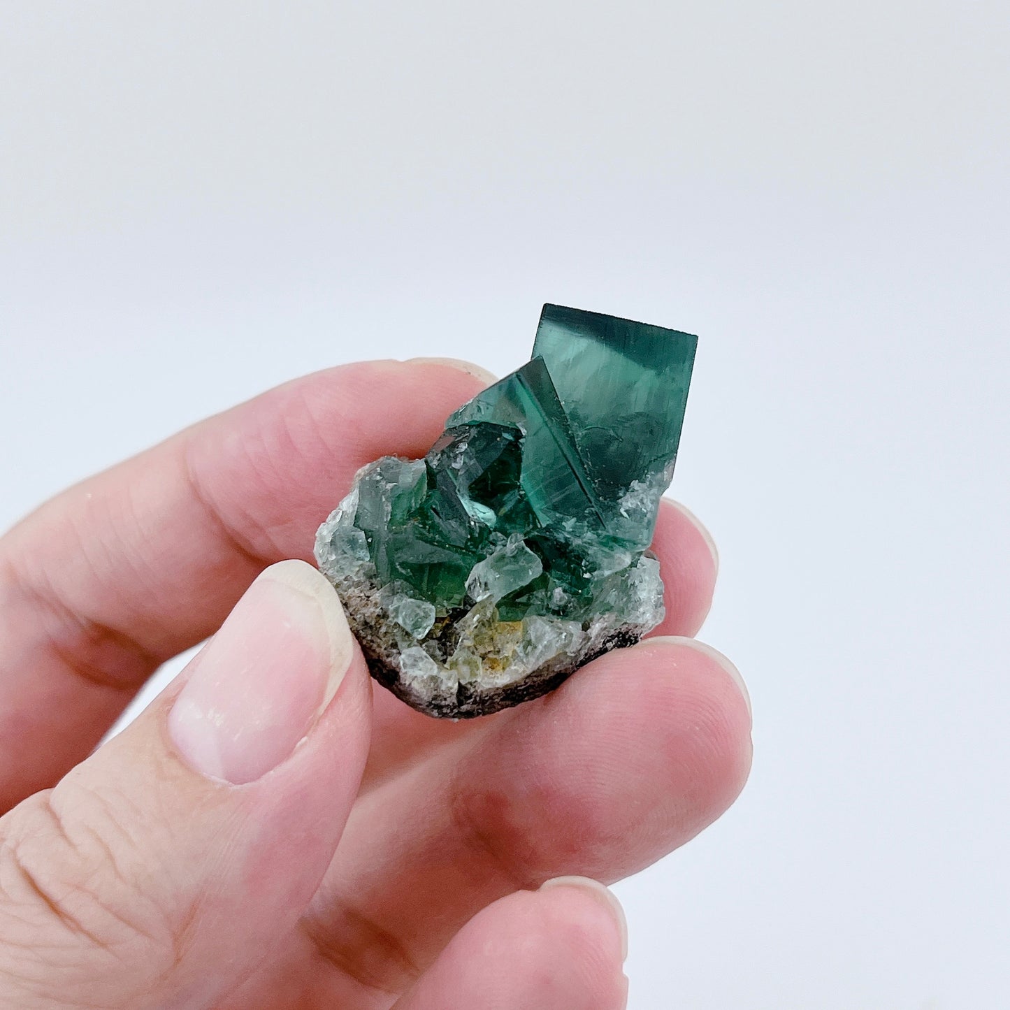 Diana Maria Fluorite (11500)【FO024A~F】