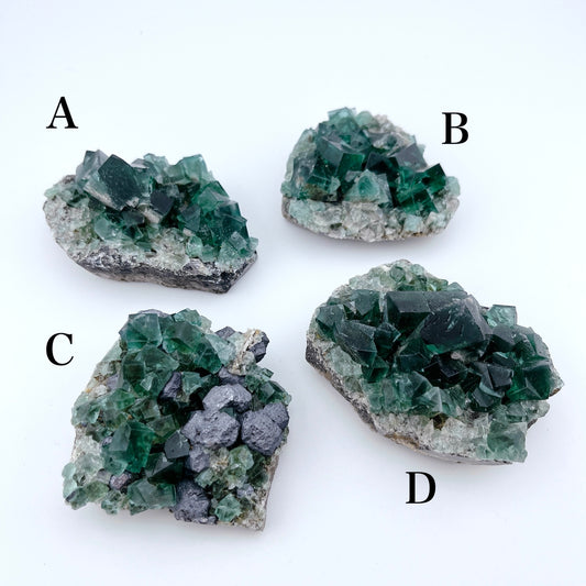 Diana Maria Fluorite (38000)【FO020A~D】