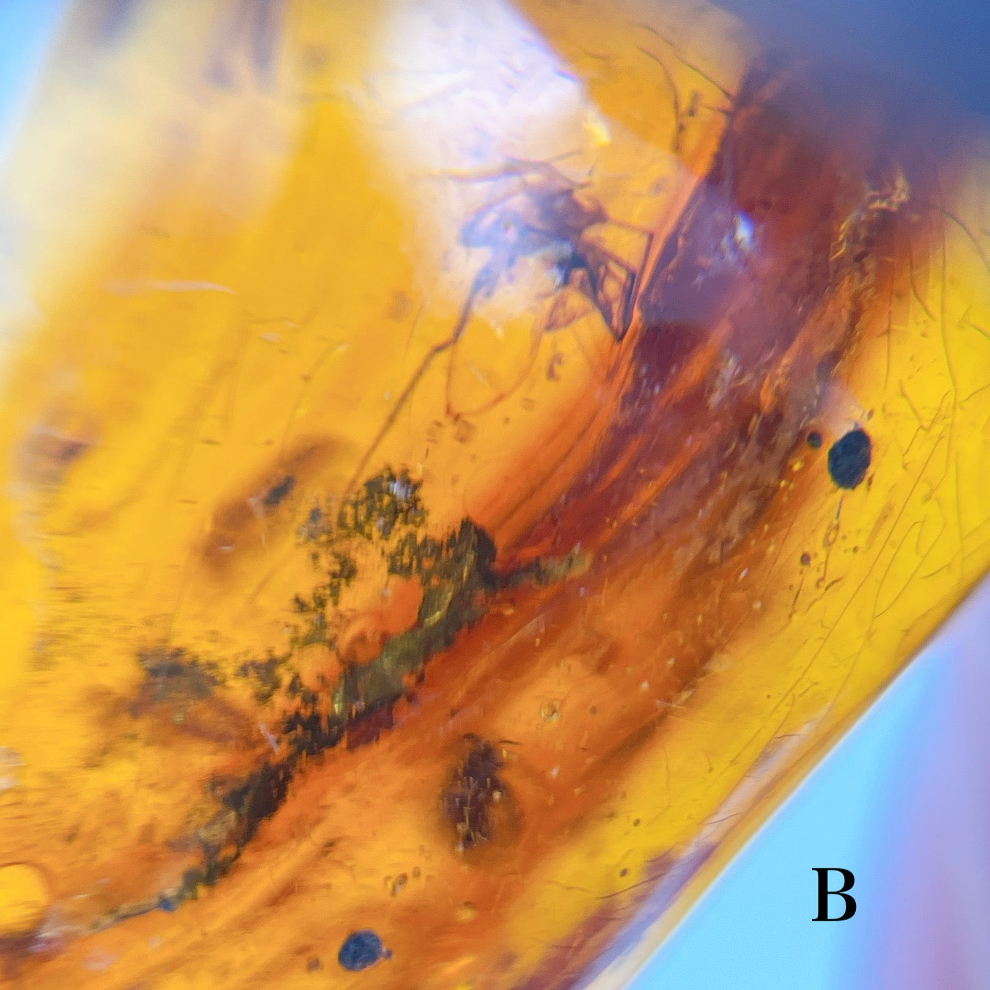 Blue amber with insects 【AB001A~J】