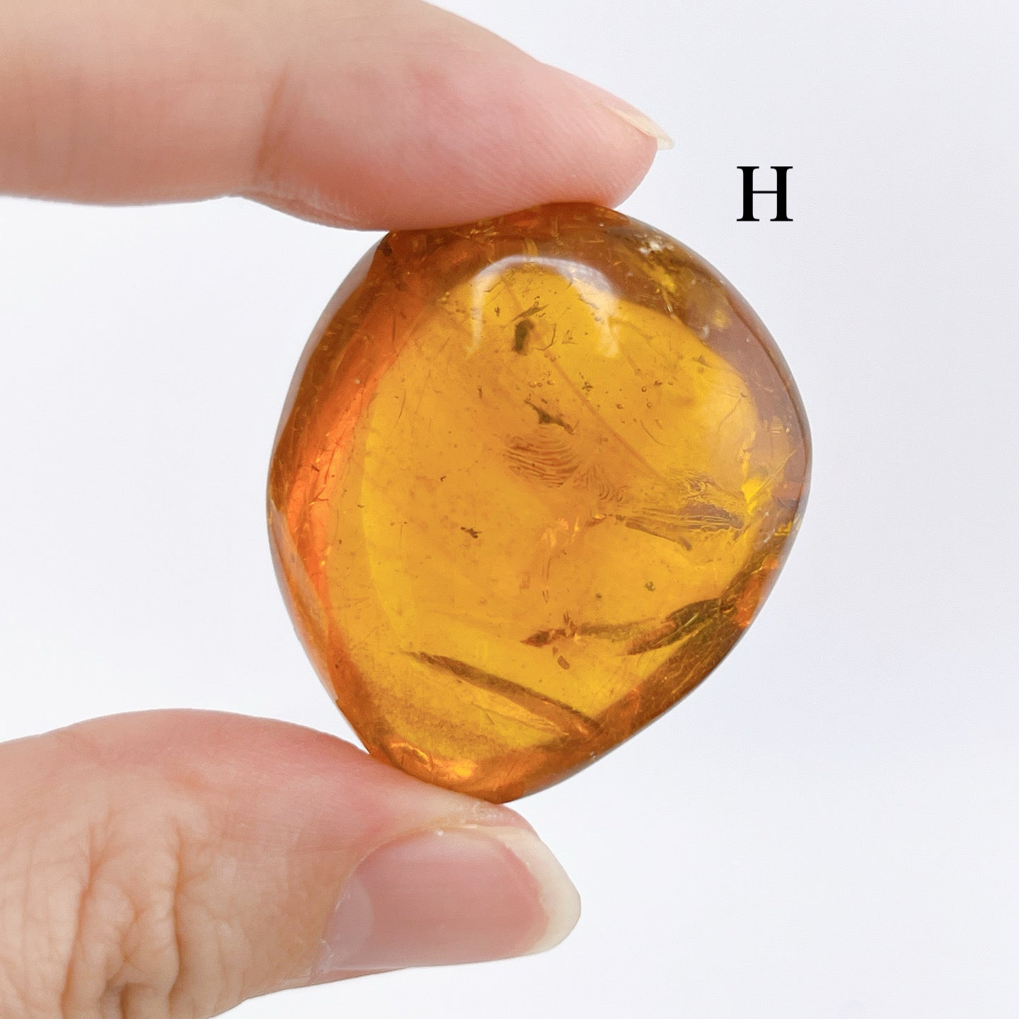 Blue amber with insects 【AB001A~J】