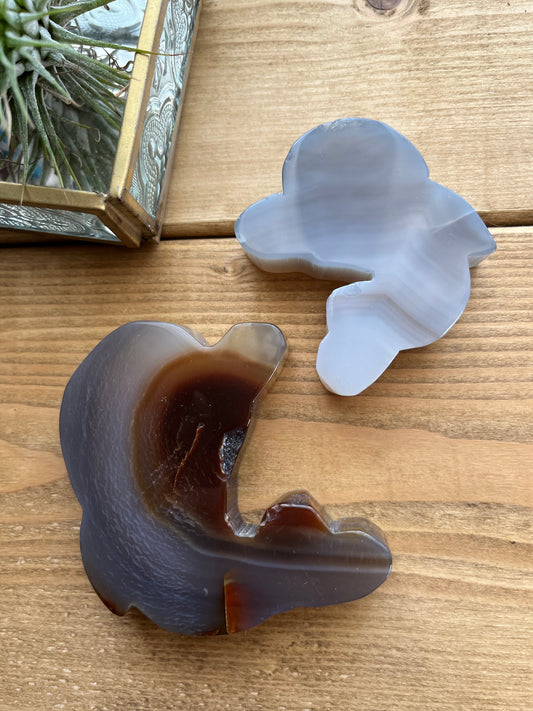 Agate dolphin set 【SP029】