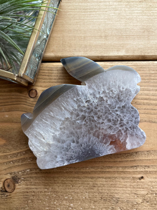 Agate raddit 【SP020】