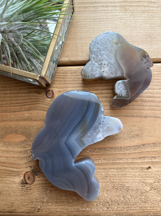 Agate dolphin set 【SP018】