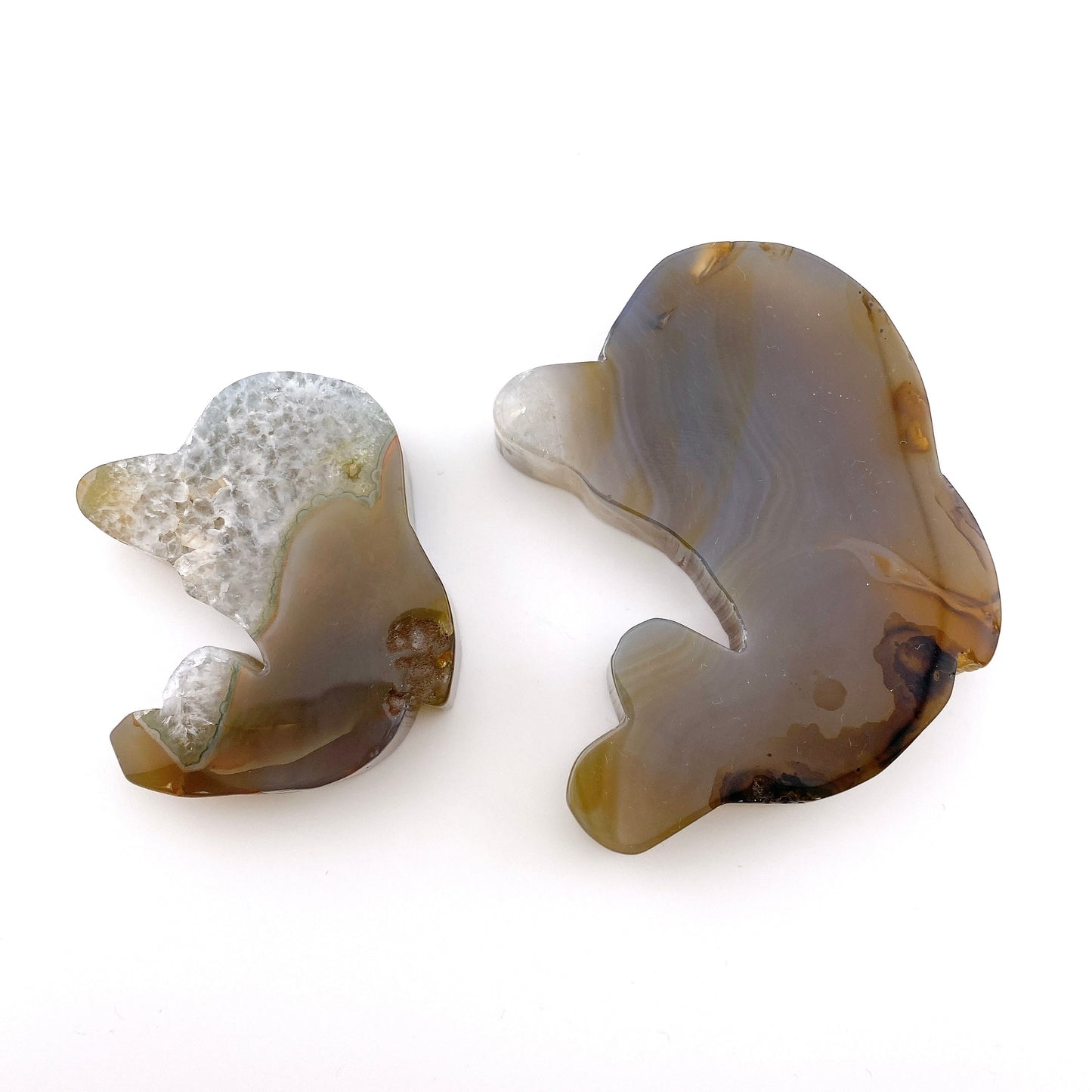Agate dolphin set 【SP018】