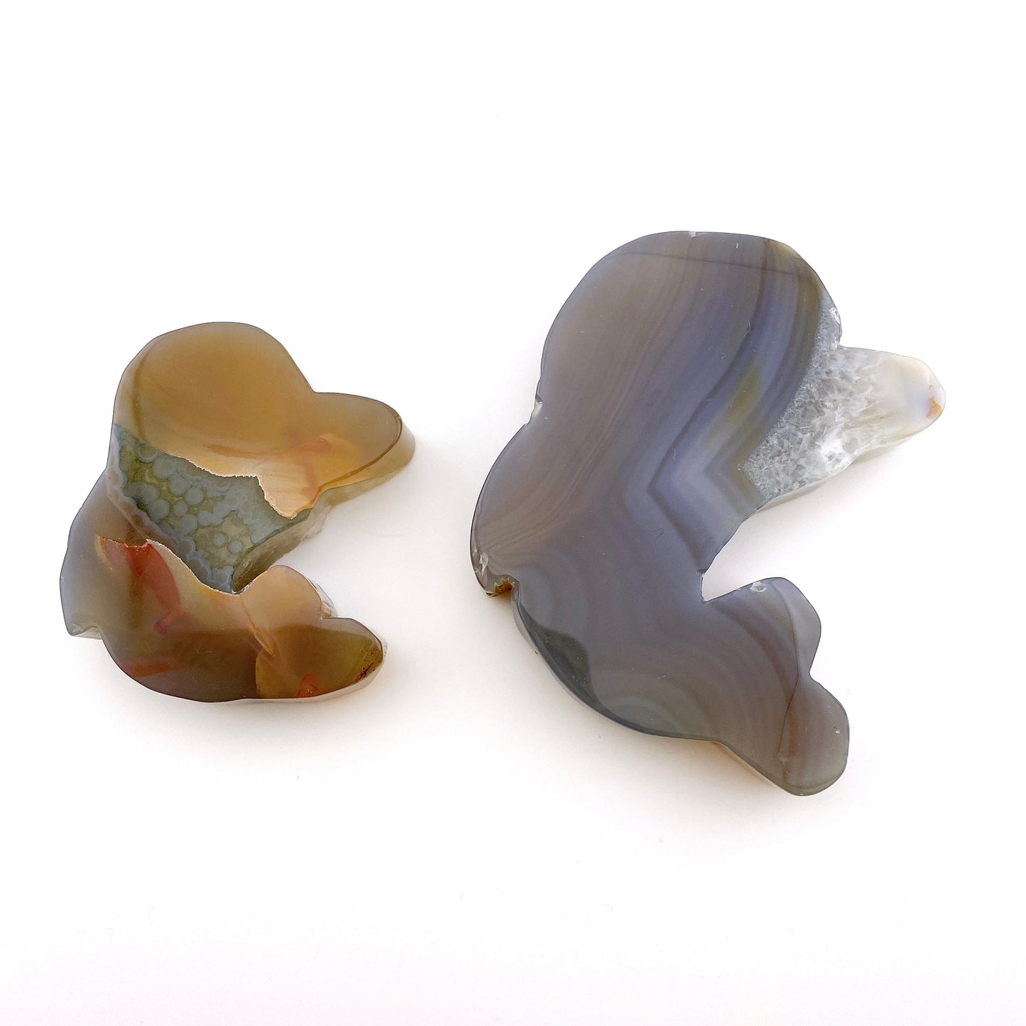 Agate dolphin set 【SP018】