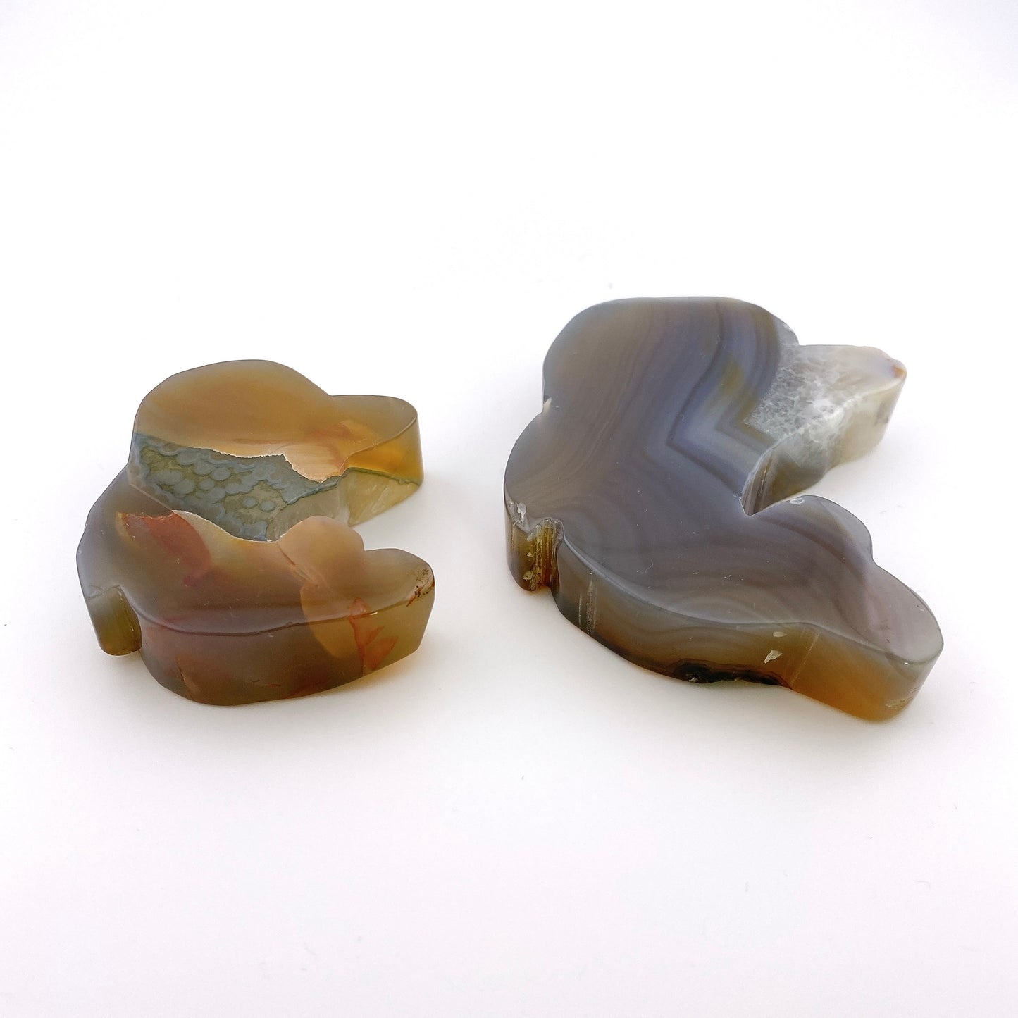 Agate dolphin set 【SP018】