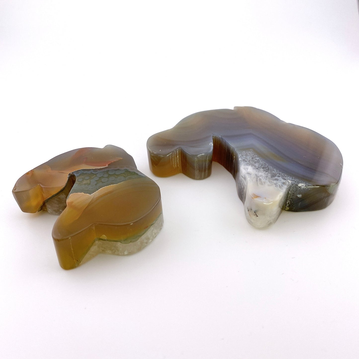 Agate dolphin set 【SP018】