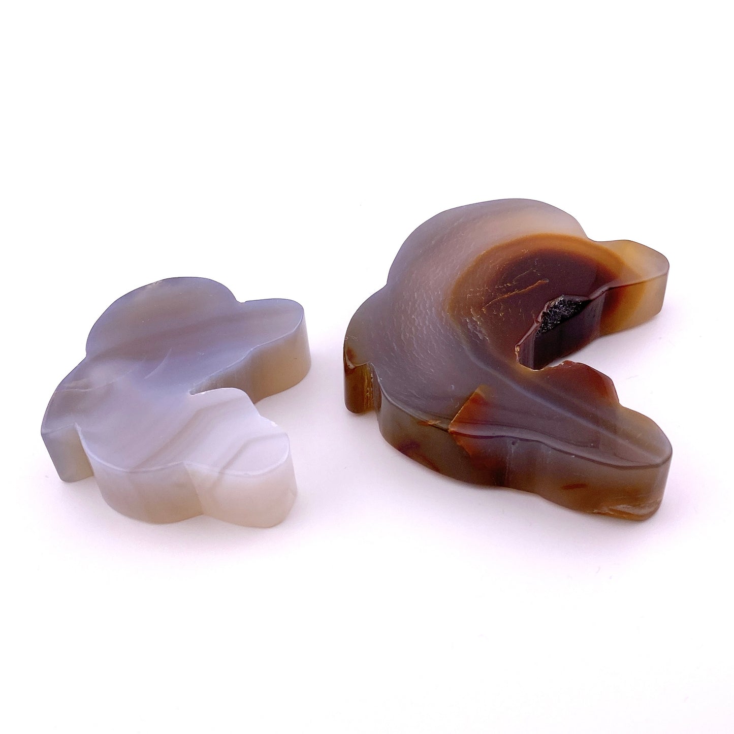 Agate dolphin set 【SP029】