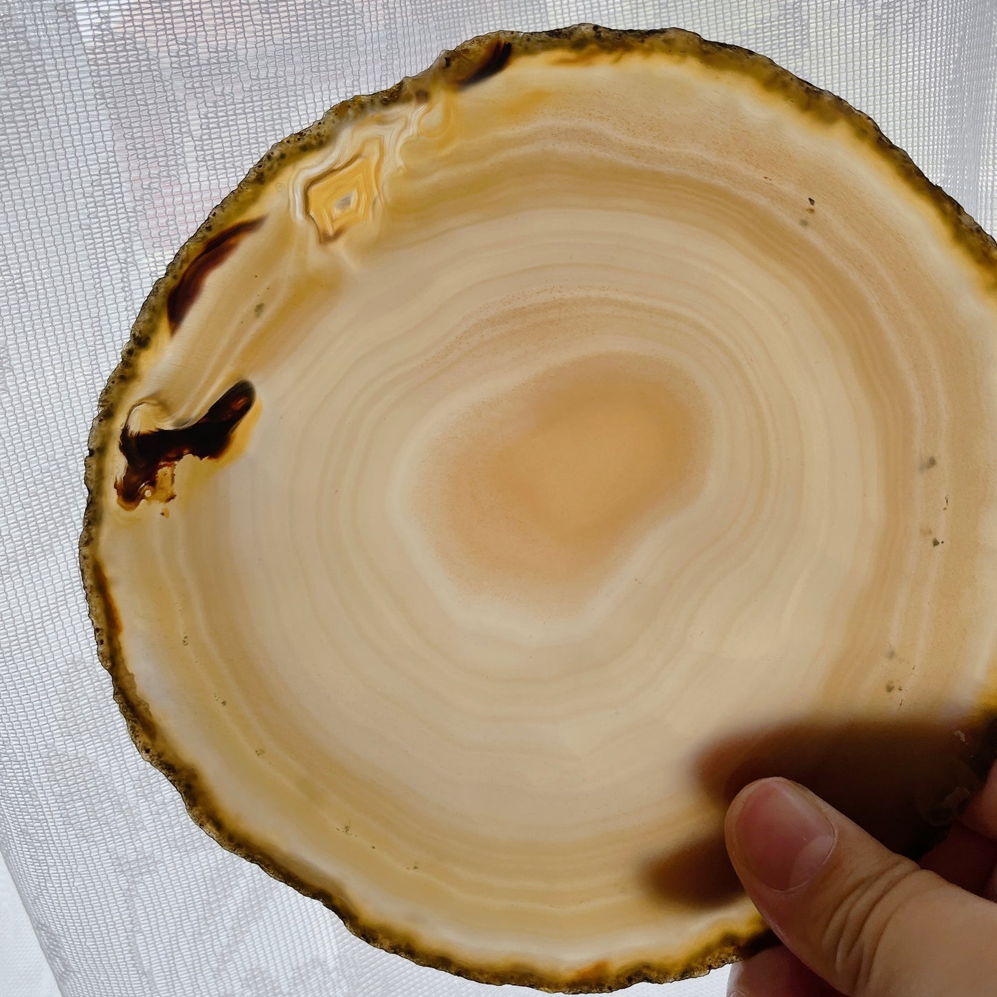 Agate L plate【PL010E】