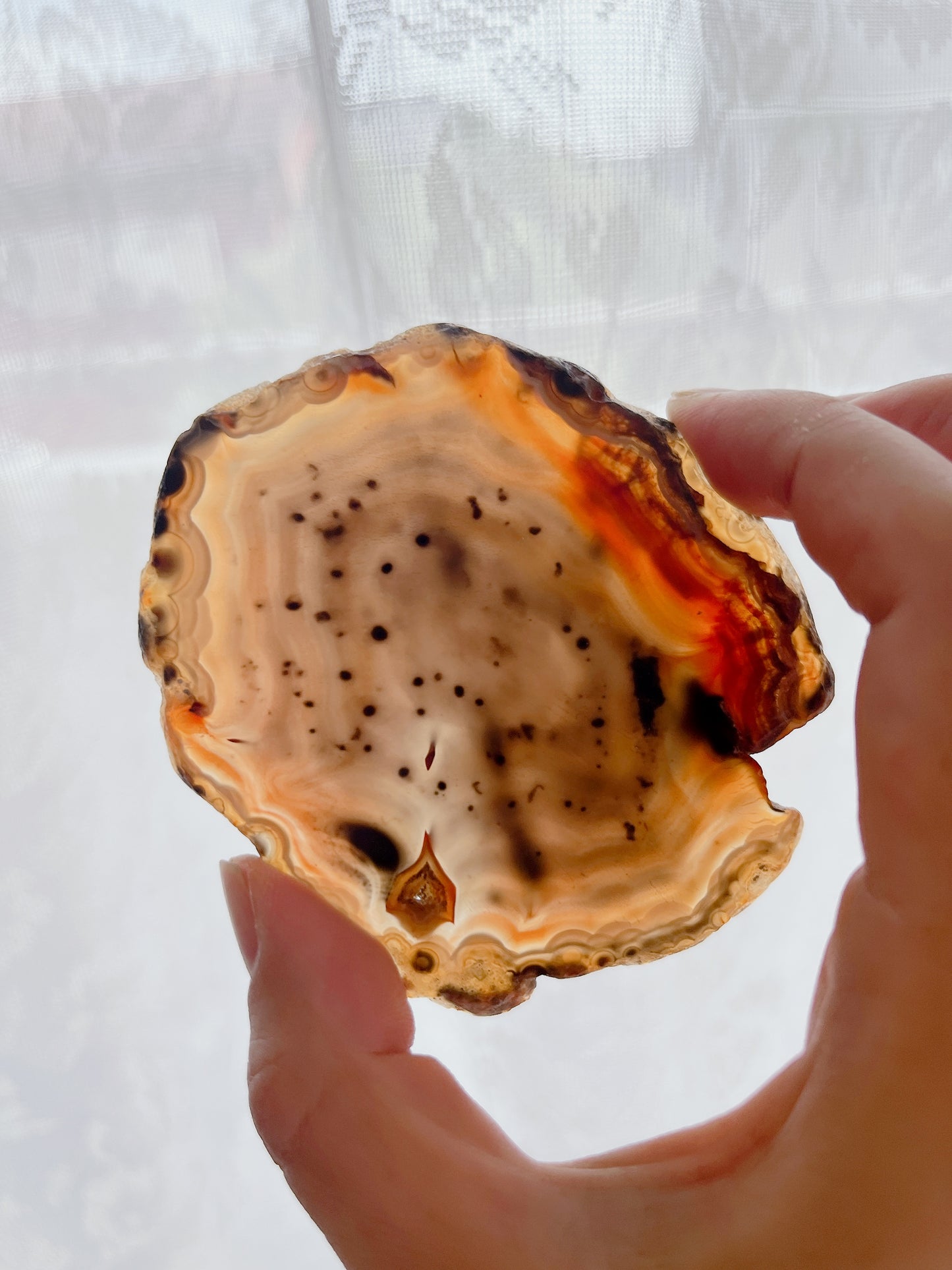 ☆Wednesday Special☆ Natural Agate plate【PL011A~I】