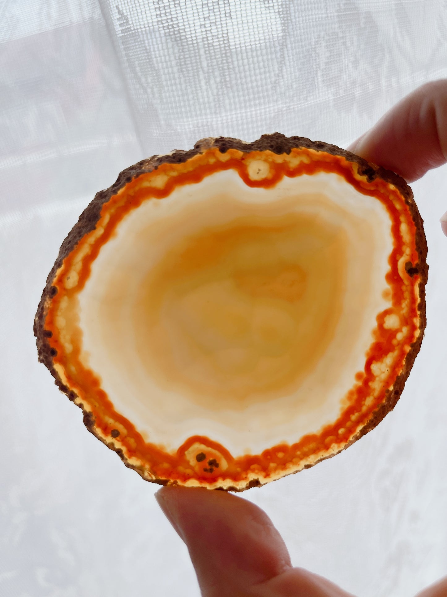 ☆Wednesday Special☆ Natural Agate plate【PL011A~I】
