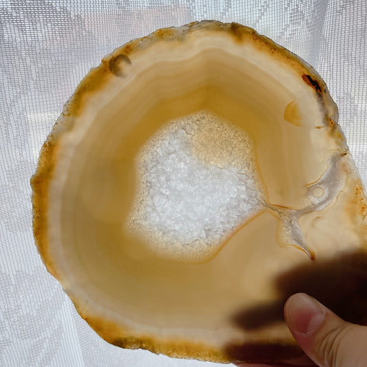 Agate L plate【PL010D】