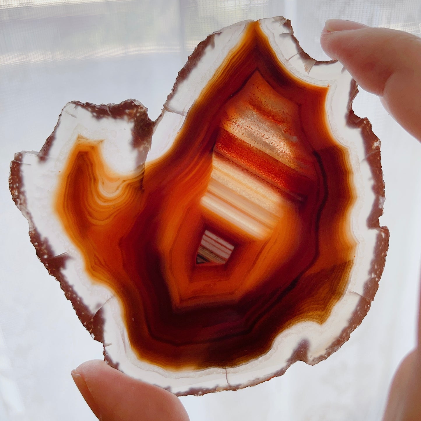 ☆Wednesday Special☆ Natural Agate plate 3【PL014A~I】
