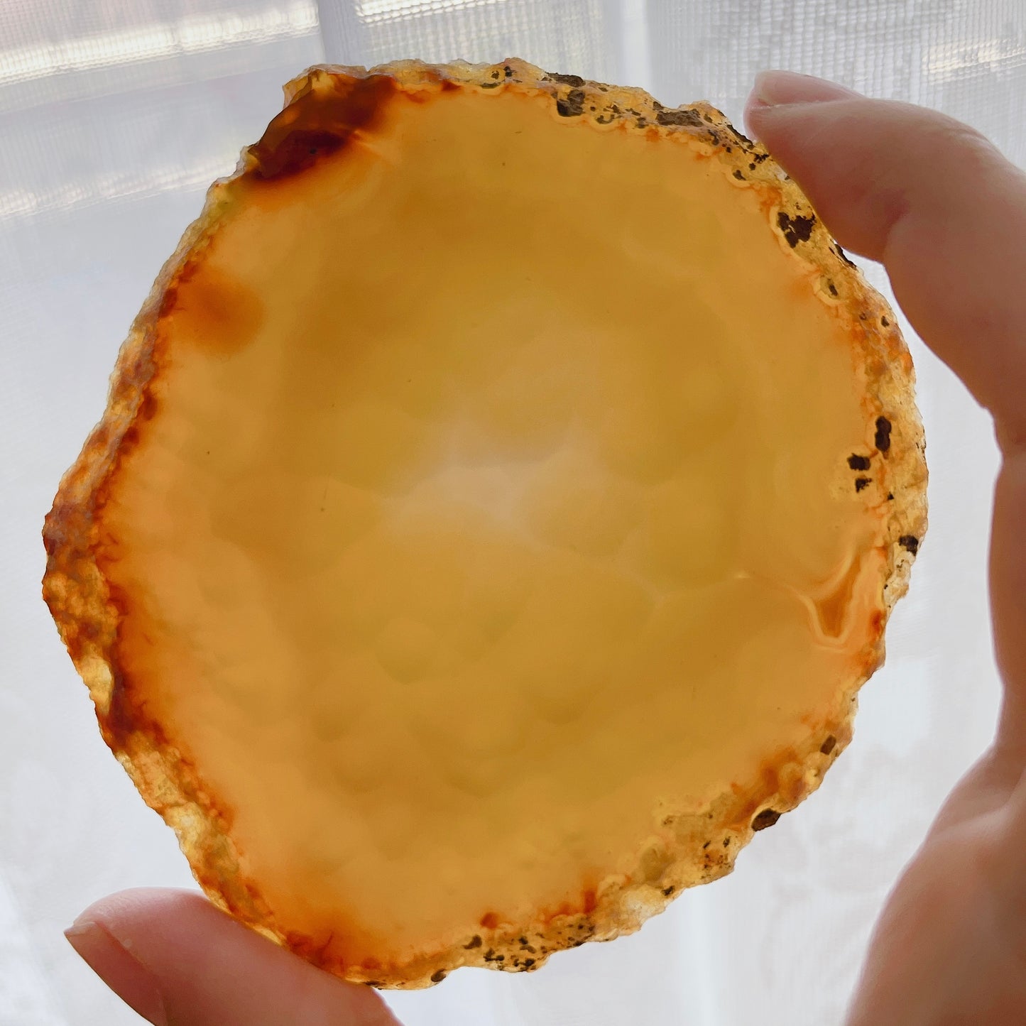 ☆Wednesday Special☆ Natural Agate plate 3【PL014A~I】