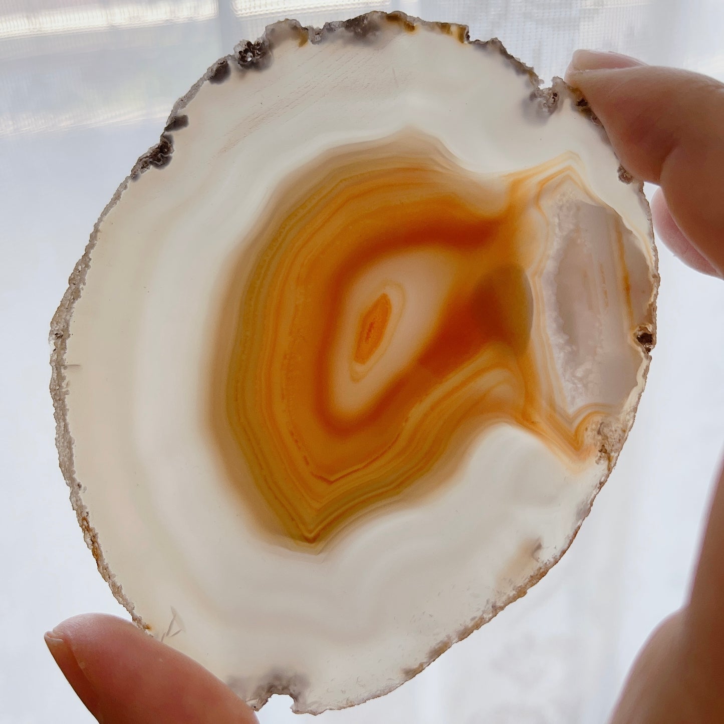 ☆Wednesday Special☆ Natural Agate plate 3【PL014A~I】