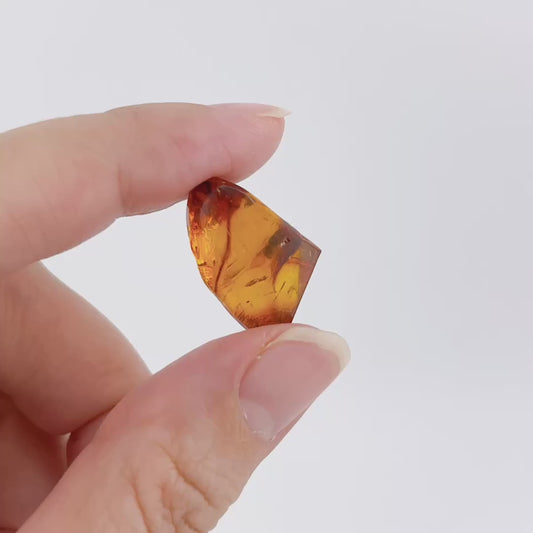 Blue amber with insects 【AB001A~J】